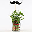 Bamboo Plant for Him Online