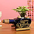 Syngonium Plant In Happy Birthday Antiquity Bottle Planter