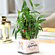 bamboo plants for anniversary greeting