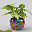 Money Plant In Colourful Rajwada Printed Pot Hand Delivery