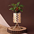 Philodendron Plant White N Golden Pot With Stand