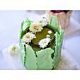 Green Forest Best Day Cake