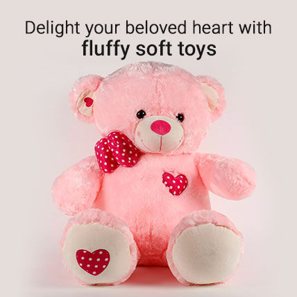 about teddy day