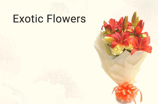 Exotic Flowers