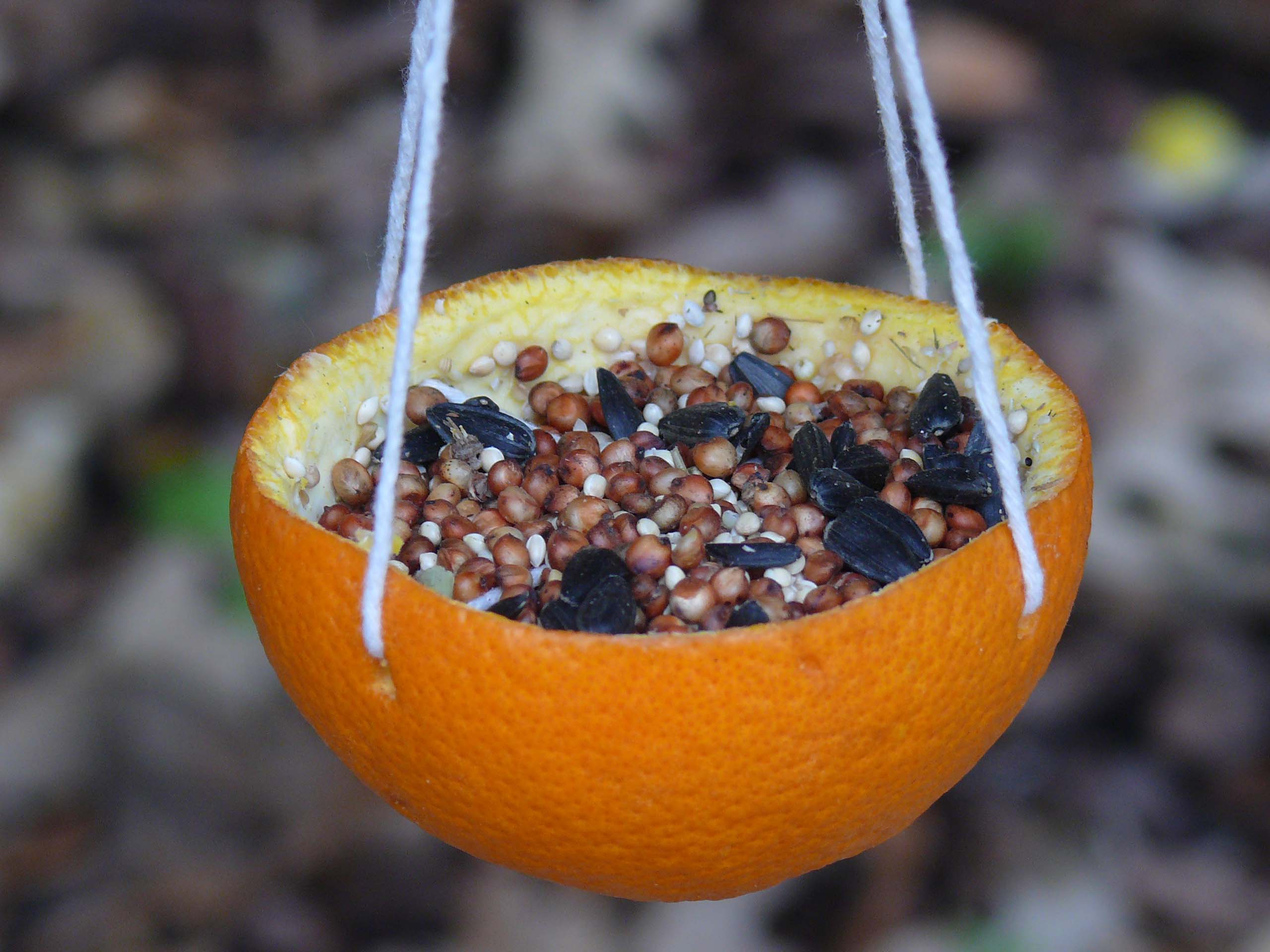 Orange Rind Bird Feeder