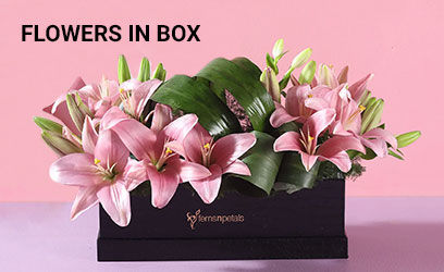 Flowers in Box Cakes