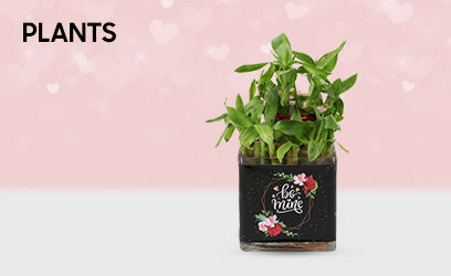 plants/propose-day