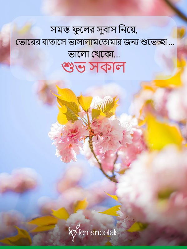 Unique Good Morning Wishes, Quotes And Messages In Bengali Online - Ferns N Petals