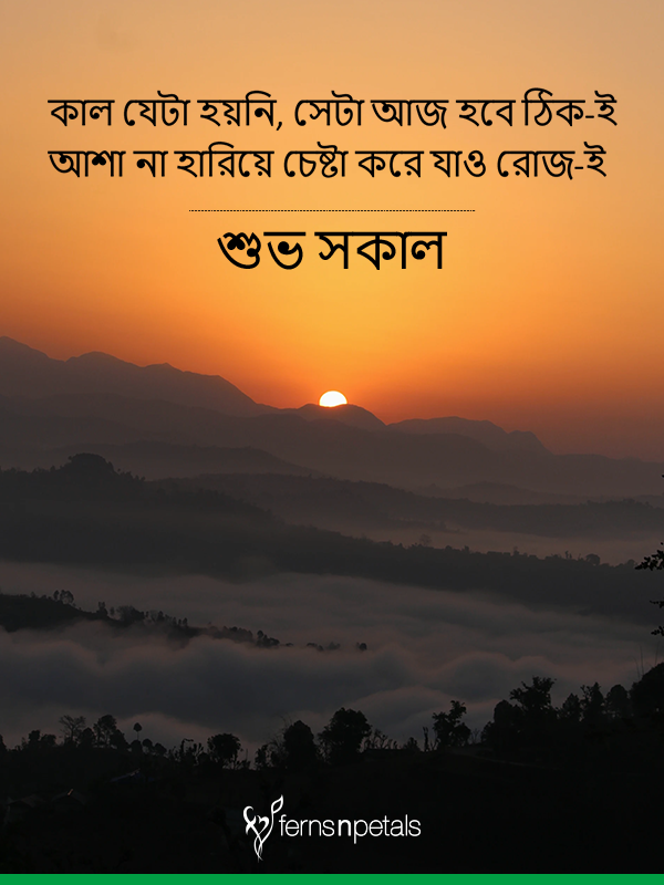 Unique Good Morning Wishes, Quotes And Messages In Bengali Online - Ferns N Petals