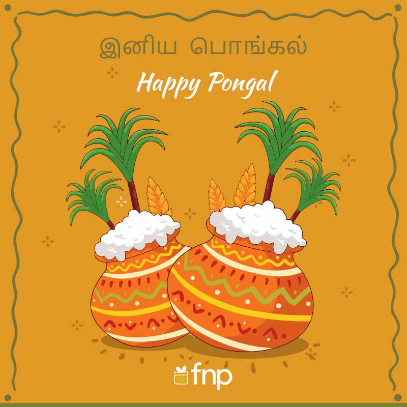 Happy Pongal Wishes, Images, & Quotes - 2023 | FNP
