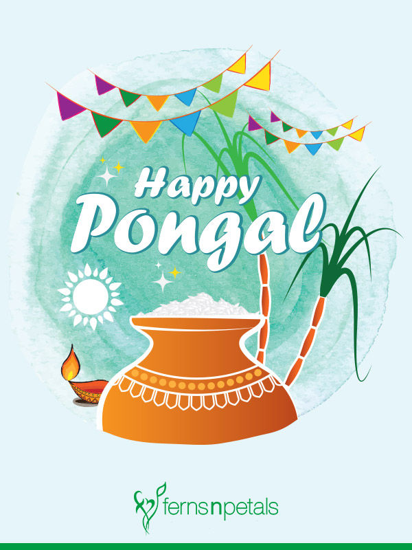 20+ Unique Happy pongal Quotes - 2021, Wishes, Messages