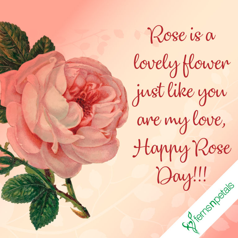 Happy Rose Day Quotes Wishes N Greetings Rose Day 2020 Ferns