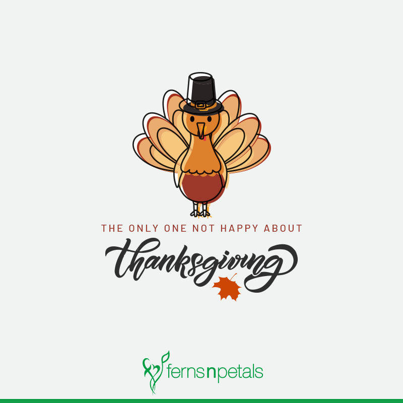 happy thanksgiving day messages