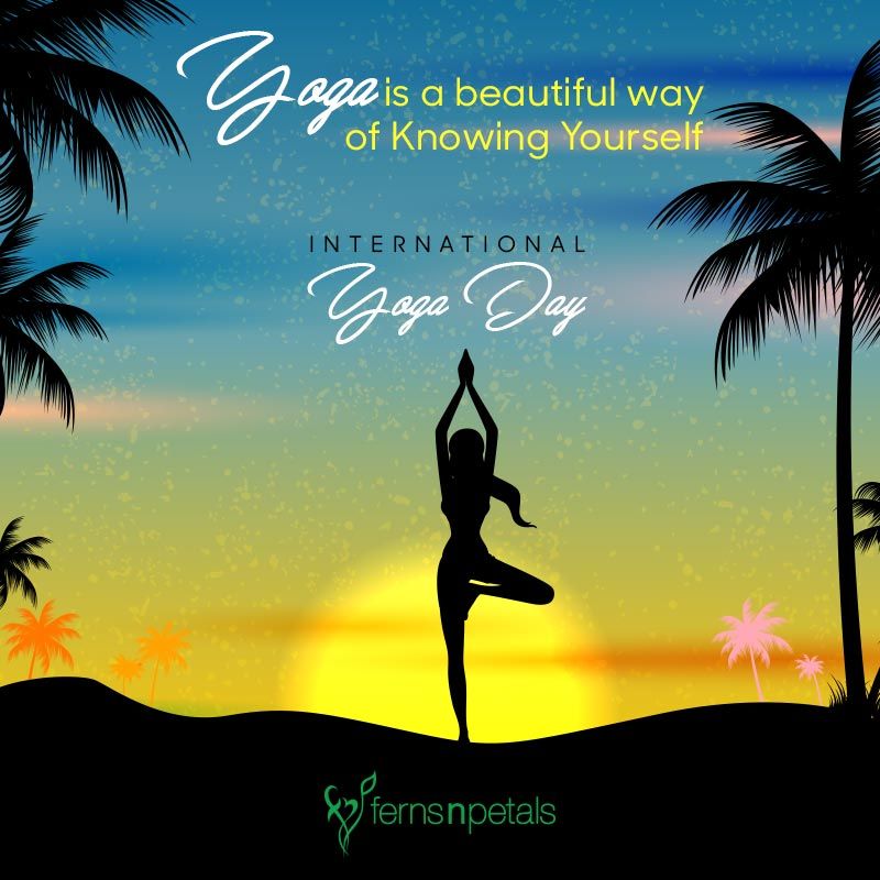 Yoga Quotes Of The Day  International Society of Precision