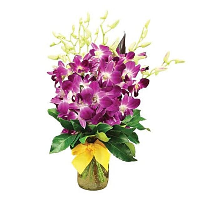 Purple Singapore Orchid Posy australia | Gift Purple Singapore Orchid ...