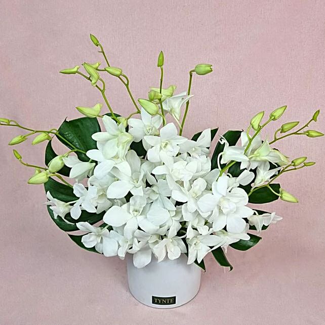 Luxe Singapore Orchids Vase australia Gift Luxe Singapore Orchids