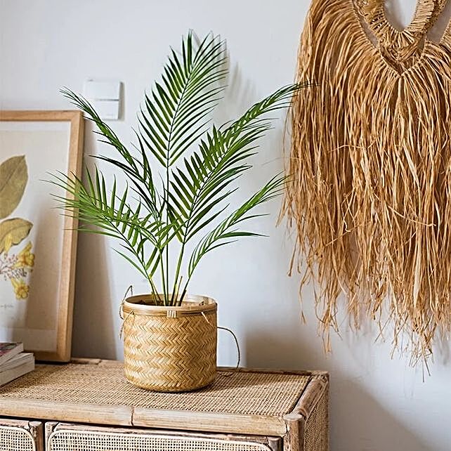 Palm Plant Small Hand Woven Basket