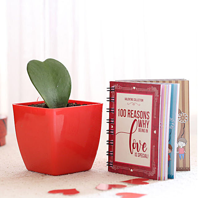 Hoya Plant & Love Booklet