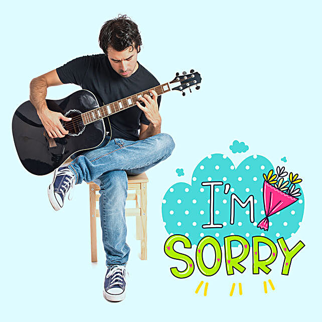 Send Sorry Gift Apology Gifts Online In India Ferns N Petals