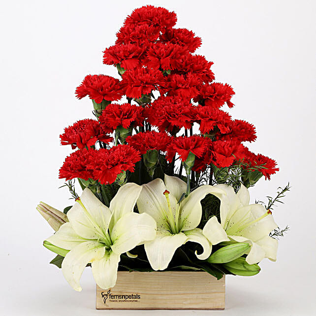 Red Carnations