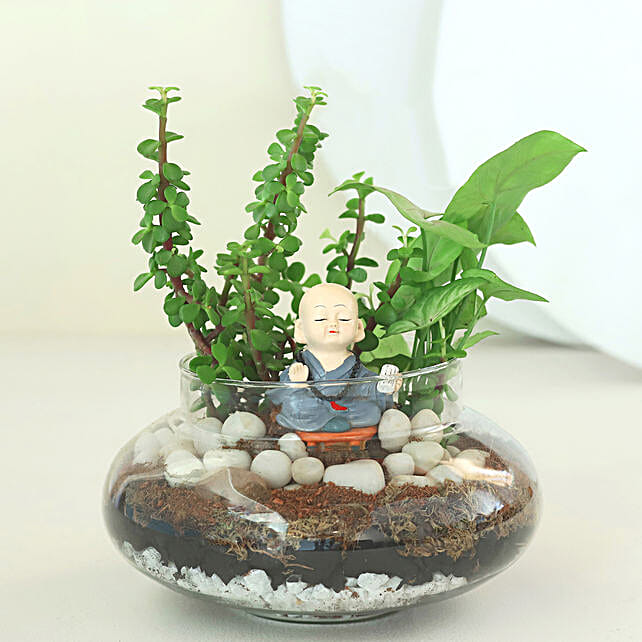 Buy/Send Syngonium N Jade Plant Potpouri Bowl Terrarium Online FNP