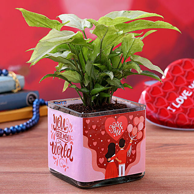Valentine Gifts For Girlfriend Online Best Valentine S Day Gifts For Girlfriend 2021 Ferns N Petals