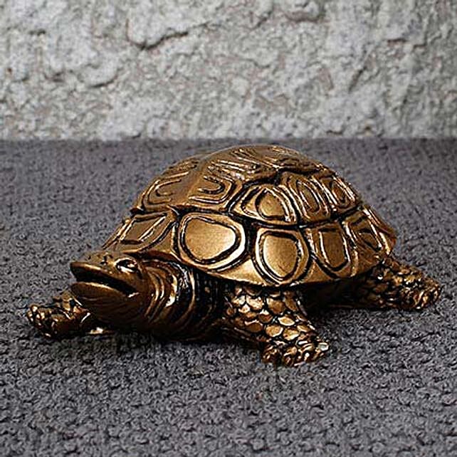 Tortoise