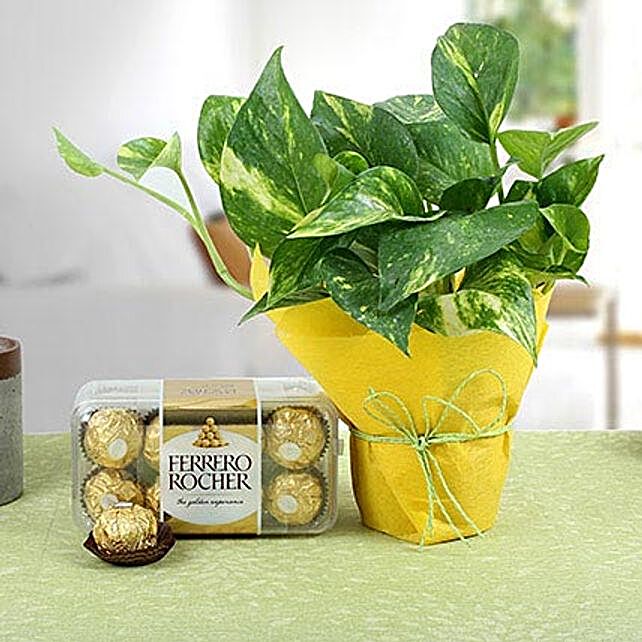 ferrero rocher plant