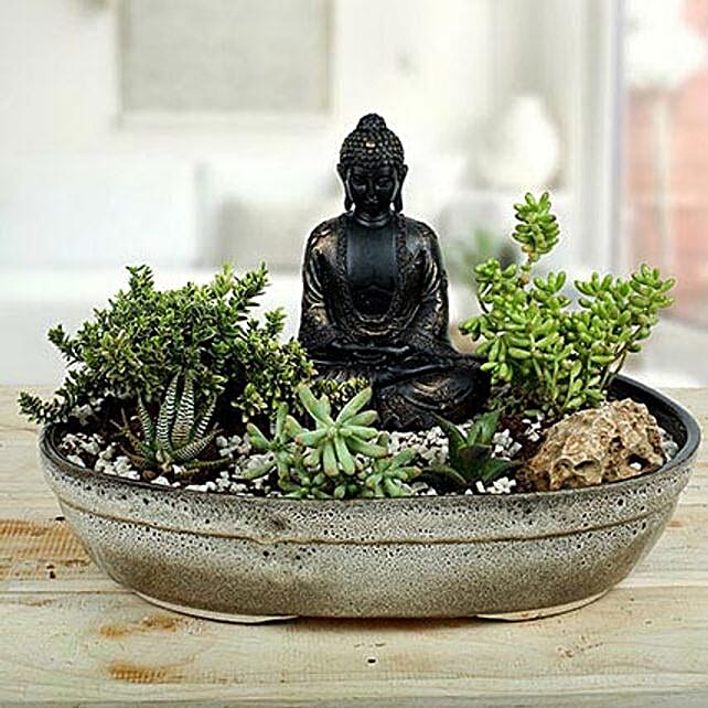 Buy/Send Peaceful Dish Garden Online- FNP