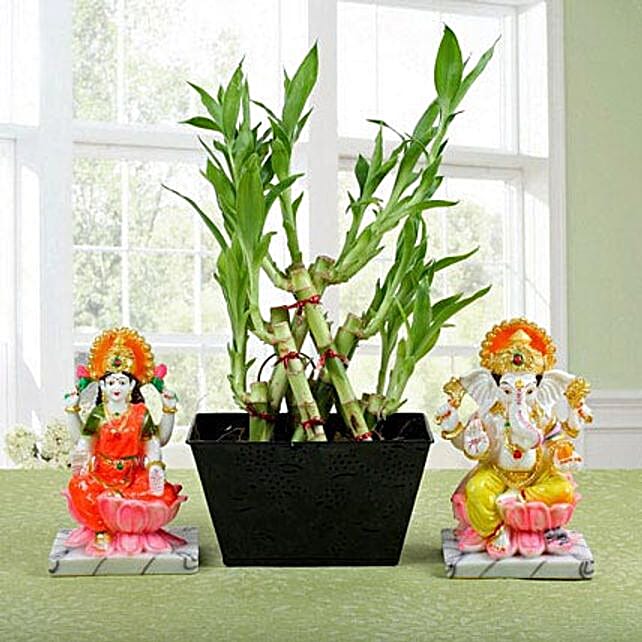 Buy/Send Pyramid Bamboo Combo Online- FNP