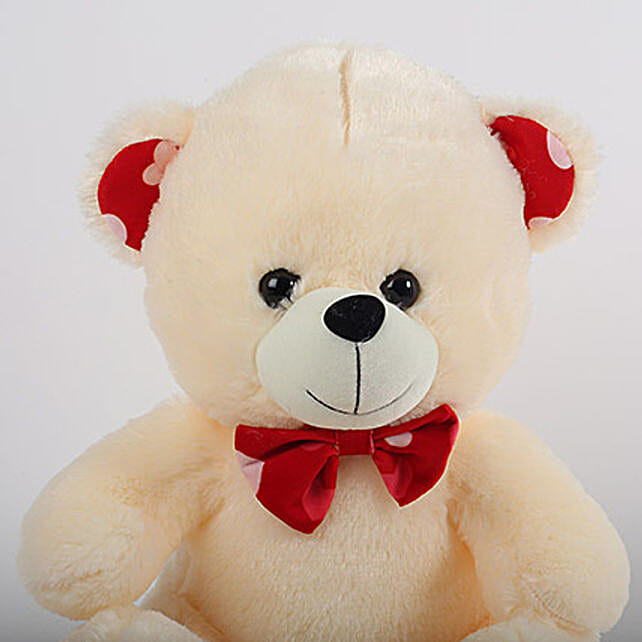 fnp teddy bear