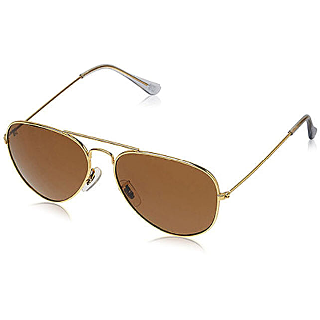 Buysend Mtv Brown N Golden Unisex Aviators Online Fnp