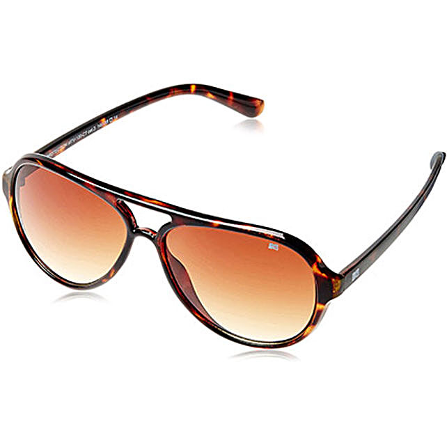 Buysend Mtv Brown Unisex Aviators Online Ferns N Petals