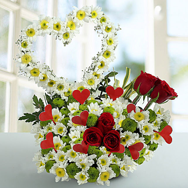 Buy Send Peace White Daisy Arrangement Online Ferns N Petals