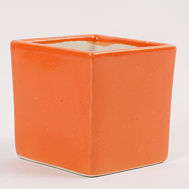 Ceramic Mini Cube Vase Orange Gift Cubical Shaped Vase Ferns