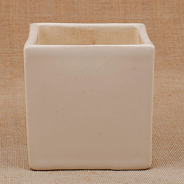 Ceramic Mini Cube Vase White Gift Ceramic Cube Shape Vase