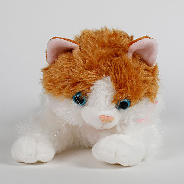 small cat soft toy