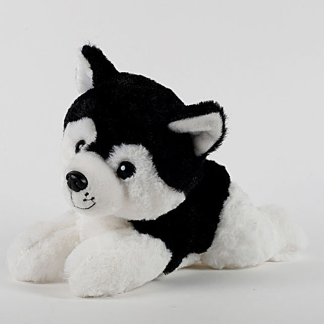 small dog soft toy