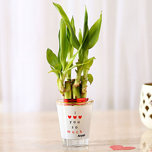 Lucky Bamboo In I Love Your Glass Vase Gift Bamboo Plant In