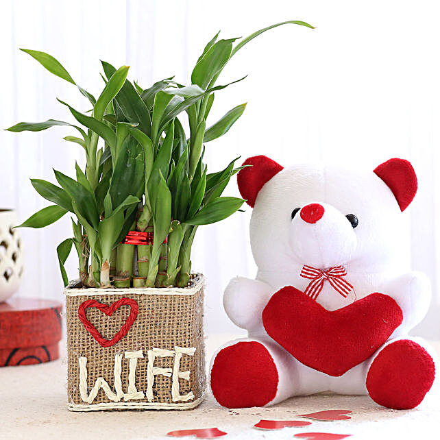 teddy bear gift for wife