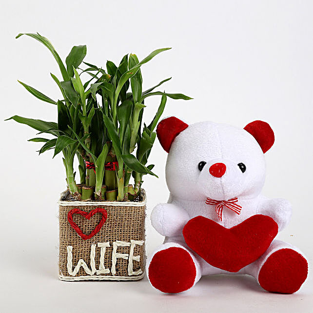 teddy day for wife