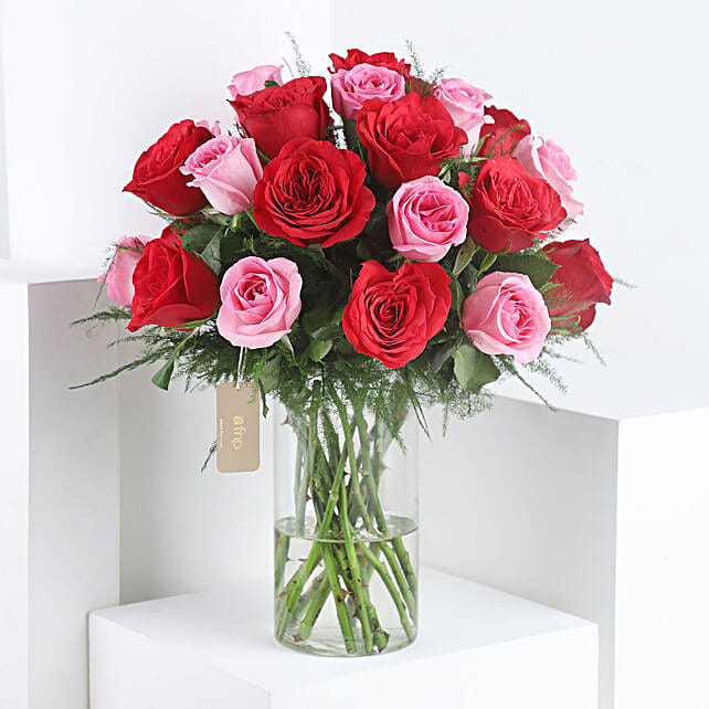 Buy Send Red Amp Pink Roses With Truffle Cake Online Ferns N Petals