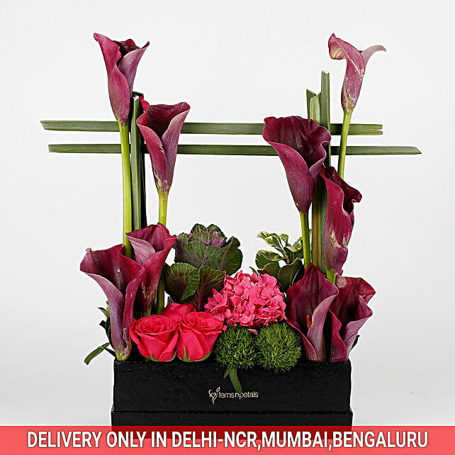 Exotic Arrangement Of Purple Calla Lilies Gift Exclusive Flower In Black Box Ferns N Petals Fresh Flowers Delivered By Clare Florist Simply Stunning The Beautiful Black Magic Calla Lilies Bouquet Is A Trendy Bunch Of