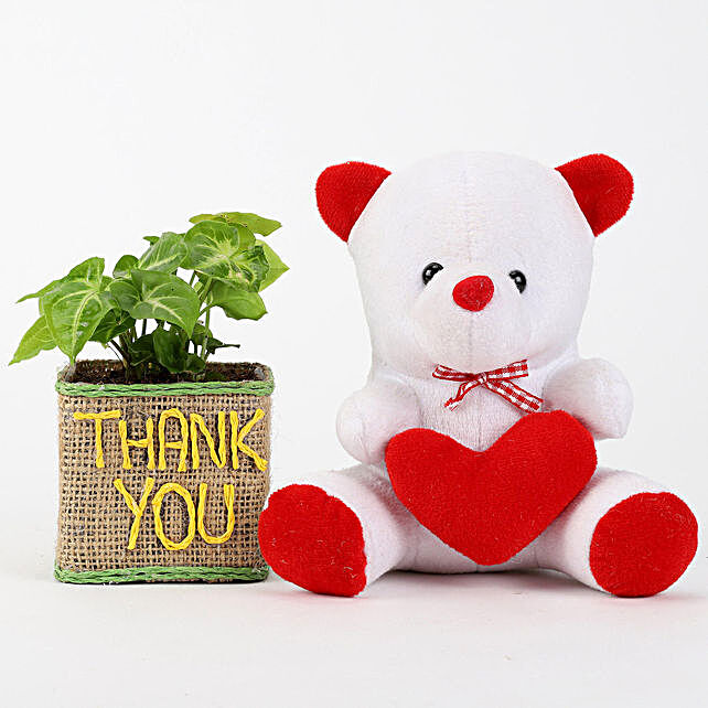 thank you teddy bear gifts