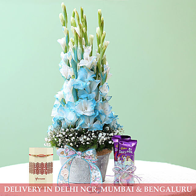 Buy Send White Gladiolus Flowers With Chocolates Amp Rakhi Online Ferns N Petals