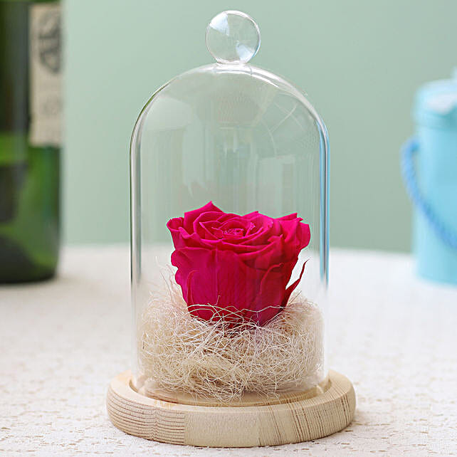 Hot Pink Forever Rose