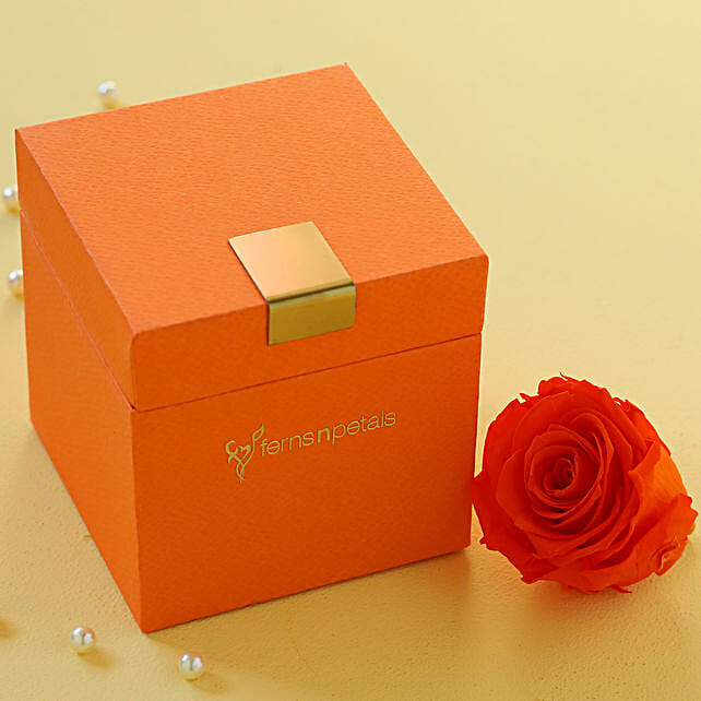 Orange Forever Rose