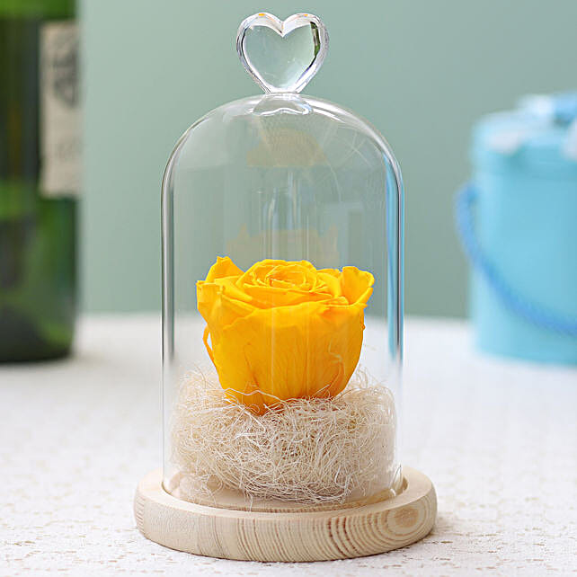 Buy/Send Forever Sunny Yellow Rose in Glass Dome Online FNP