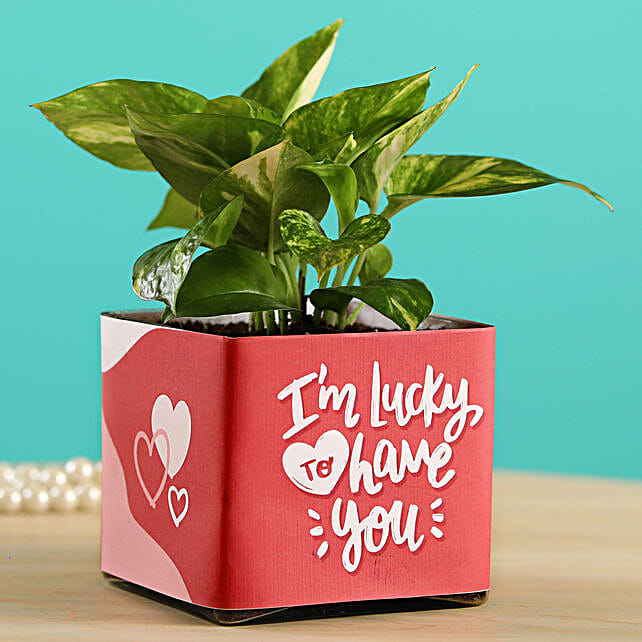 5 Latest Gift Ideas For Valentine's Day 2019 - Ferns N Petals