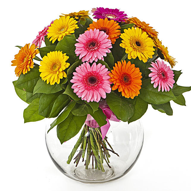 Buy/Send Flowers Of Paradise Gerberas Vase Online- FNP